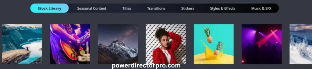 powerdirectorpro.com